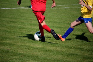 爱游戏体验-拳击国家队备战亚运 实施精英训练计划，拳击亚军奖杯照片